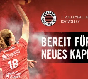 © DSCVOLLEY